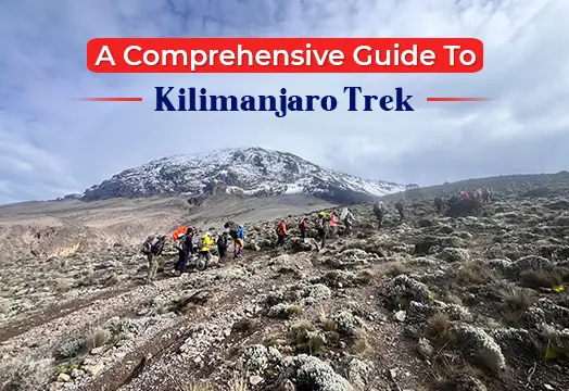 A Comprehensive Guide To Kilimanjaro Trek